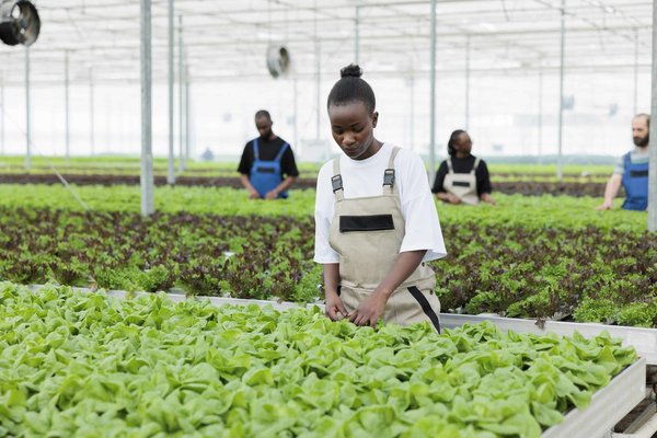 Quelle est la meilleure méthode pour réduire les émissions de CO2 des petites entreprises manufacturières ?