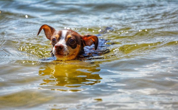 Quelles techniques pour débuter dans la production de musique house ?