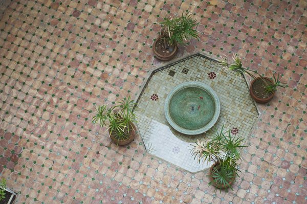 Capturez l'instant avec un photographe réputé à lyon