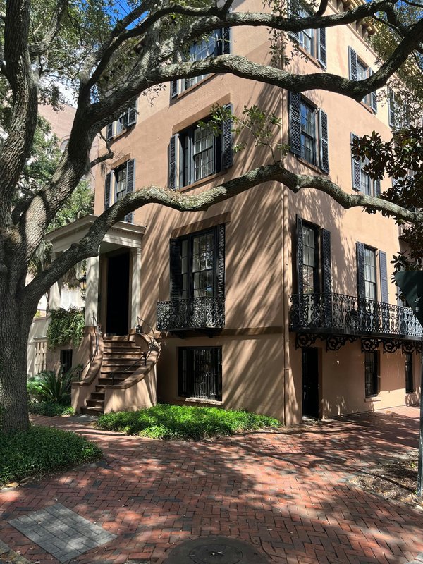 Habitat urbain : choix personnalisés et écologiques avec aventim